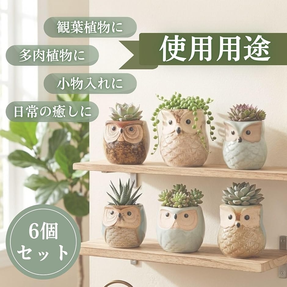 サボテン 鉢 植木鉢 可愛い フクロウ 陶器 6点セット 小さい ミニ