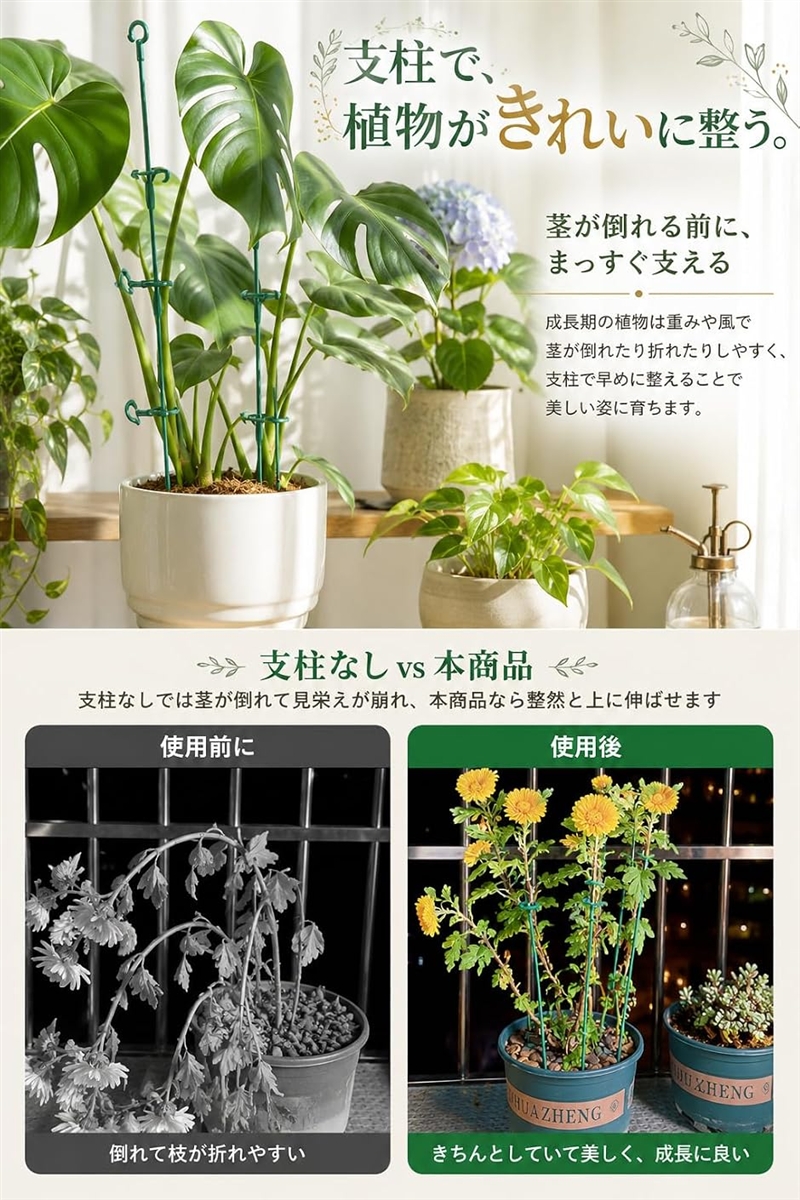 植物の本 3本セット 支柱 園芸 観葉植物 花ささえ 誘引 つる性植物 胡蝶蘭 20本セット
