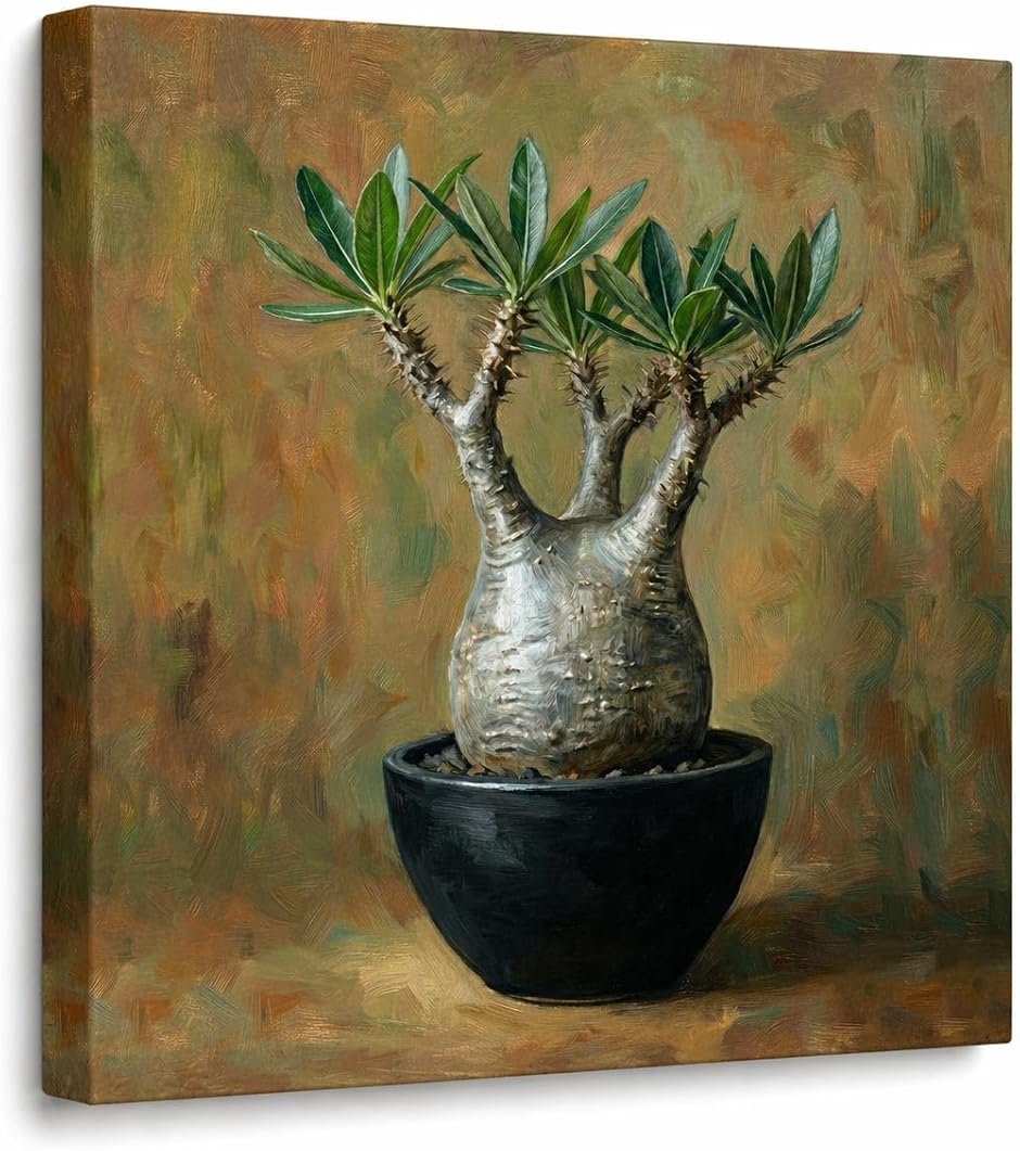 塊根植物 コーデックス 絵画 アートパネル ポスター 壁掛け インテリア