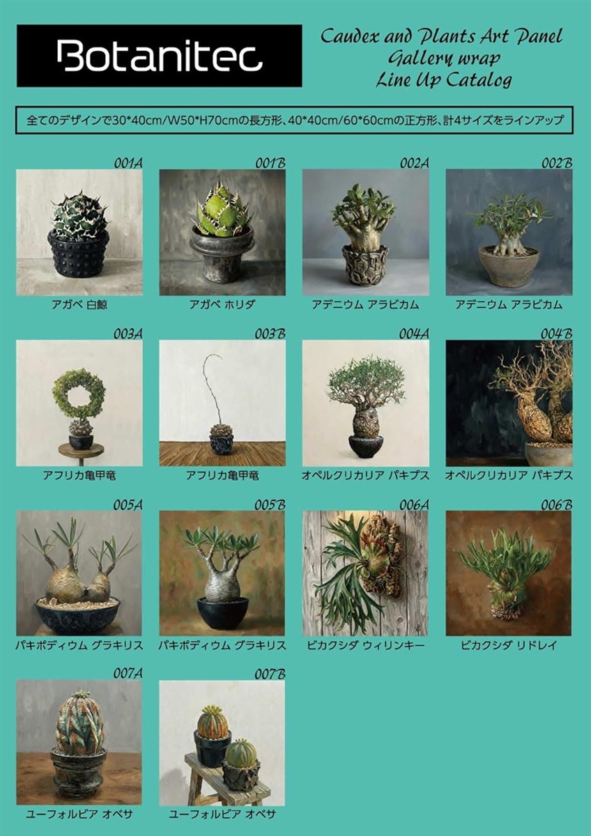 塊根植物 コーデックス 絵画 アートパネル ポスター 壁掛け インテリア