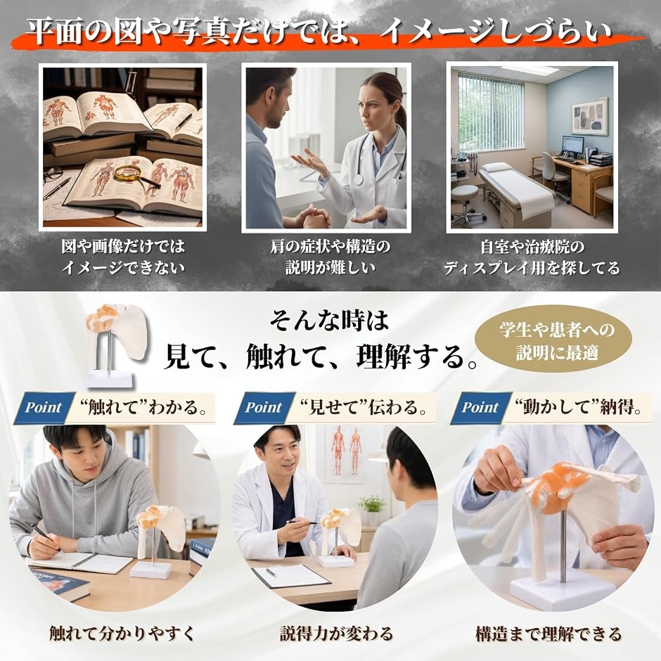動かせる 肩関節模型 靭帯付き 肩甲骨 鎖骨 上腕骨 実物大 台座取外し