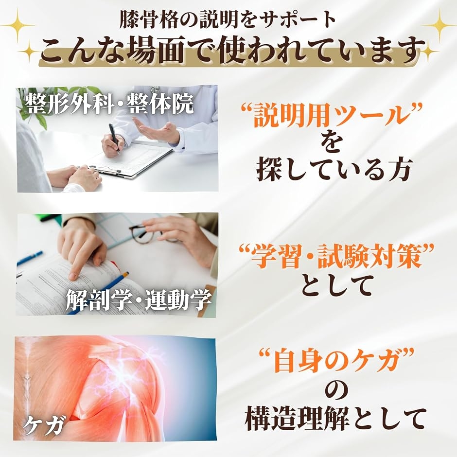 動かせる 肩関節模型 靭帯付き 肩甲骨 鎖骨 上腕骨 実物大 台座取外し