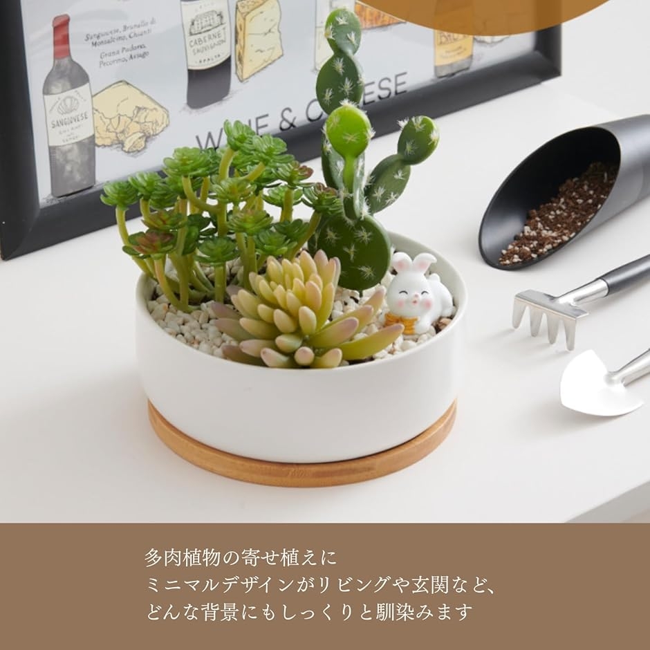 植木鉢多肉塊根観葉植物ハンドメイド陶器陶芸 Flower Gardening Pot