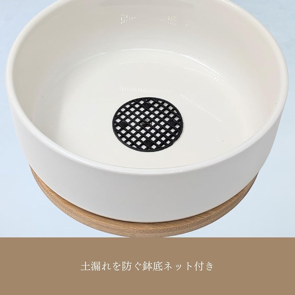 植木鉢 陶器 多肉植物 寄せ植え プランター 鉢底ネット セット 円形