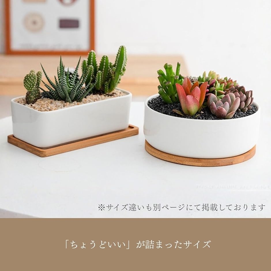 植木鉢 陶器 多肉植物 寄せ植え プランター 鉢底ネット セット 円形