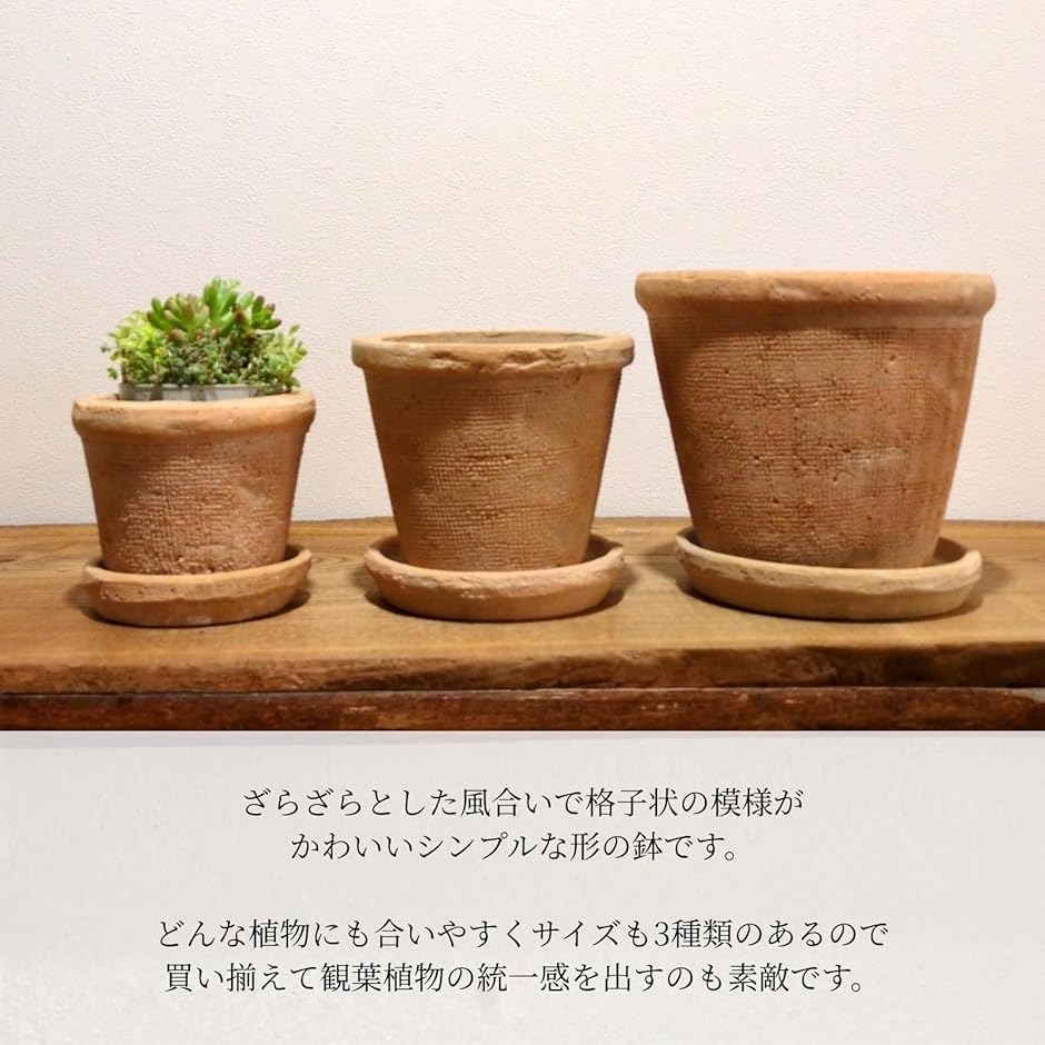 植木鉢 テラコッタ アンティーク風 素焼き鉢 モスポット 園芸