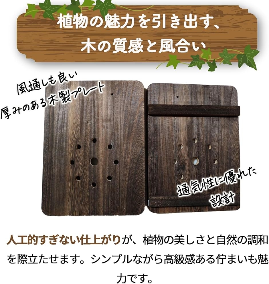 着生板 コウモリラン ビカクシダ 壁掛けプレート 天然木 多肉植物 観葉