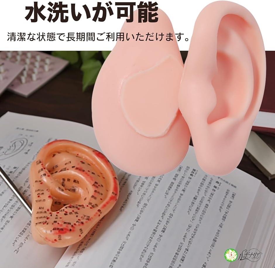 耳模型 1:1 シリコン 両耳 左右セット ピアス練習用 耳モデル 耳ツボ