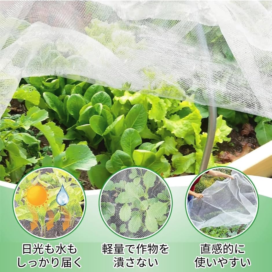 園芸ネット 1m×30mの商品一覧 通販 - Yahoo!ショッピング