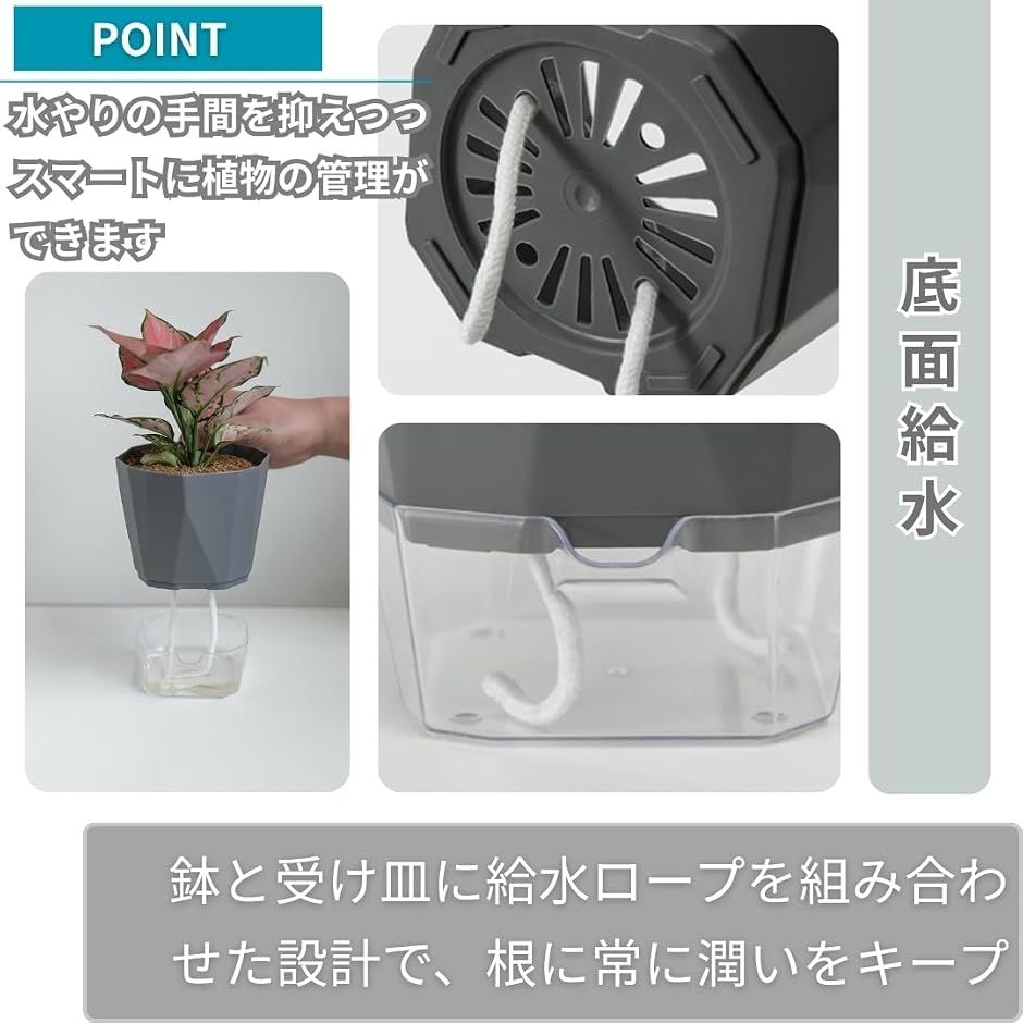 植木鉢 ハイドロカルチャー 底面給水鉢 自動給水 プランター 観葉植物