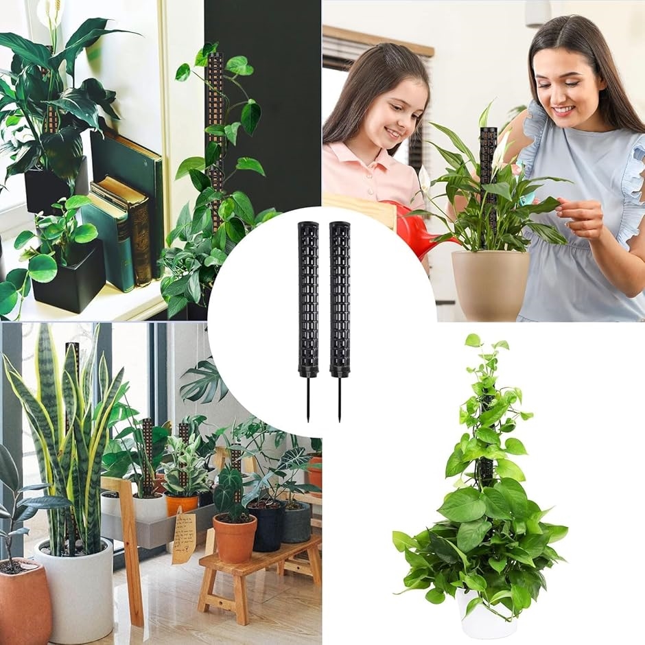 モンステラ支柱 ブラック 2本セット 連結可 観葉植物用(ホワイト2個