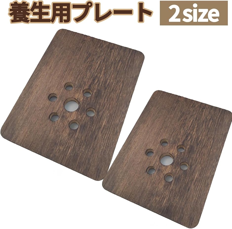 着生板 コウモリラン ビカクシダ 壁掛けプレート 天然木 多肉植物 観葉