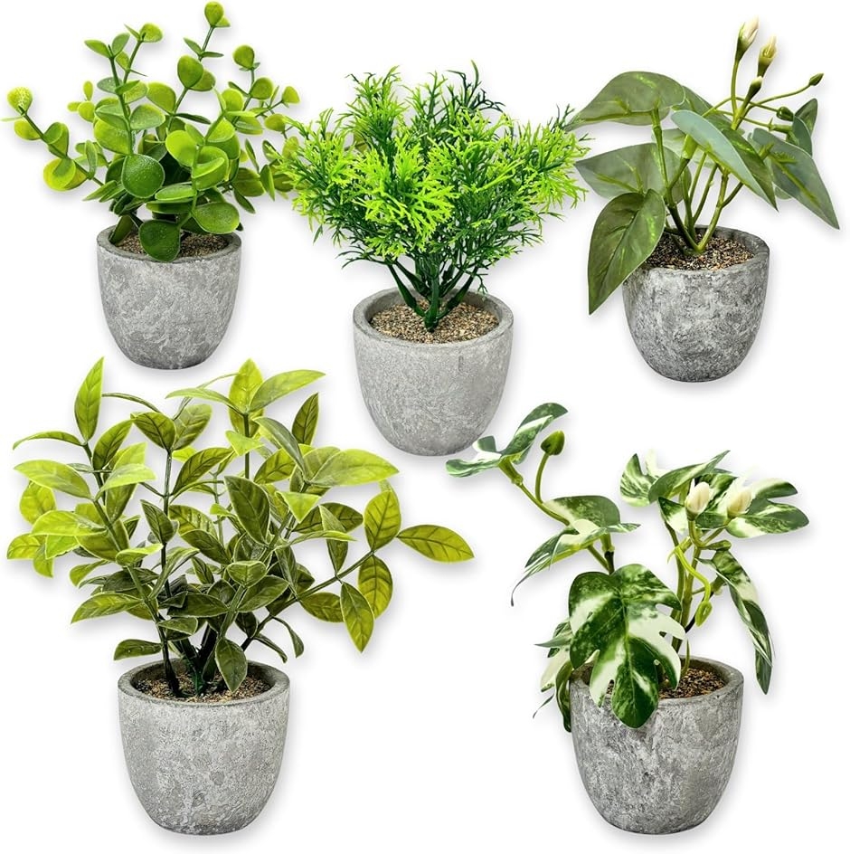 フェイクグリーン 観葉植物 卓上 5点セット 光触媒 ミニ インテリア