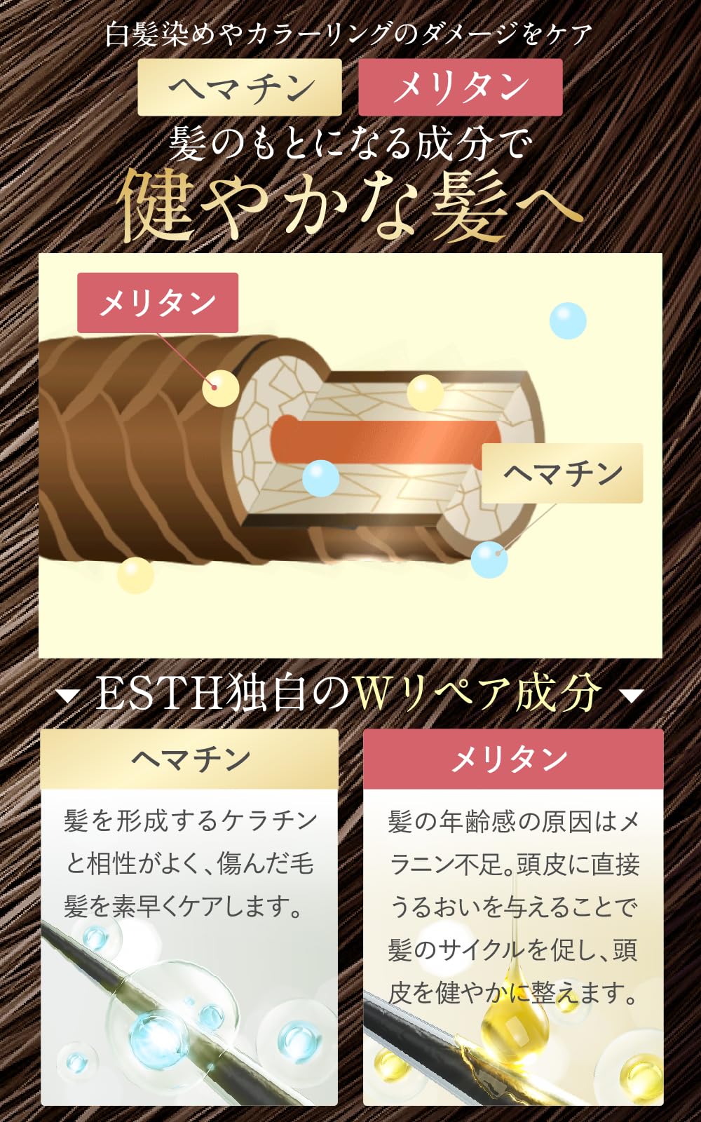 公式》 ESTH クレイ ヘッドスパシャンプー エス シャンプー 380g