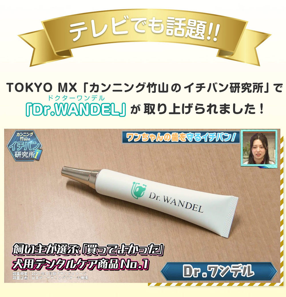 Dr. WANDEL ドクターワンデル 歯磨き 歯周病予防口腔ジェル3本セット