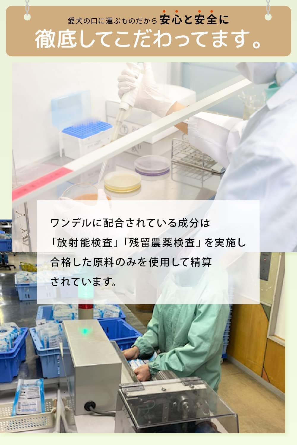 正規品 Dr.wandel plus ドクターワンデル プラス 30g 1ヶ月分