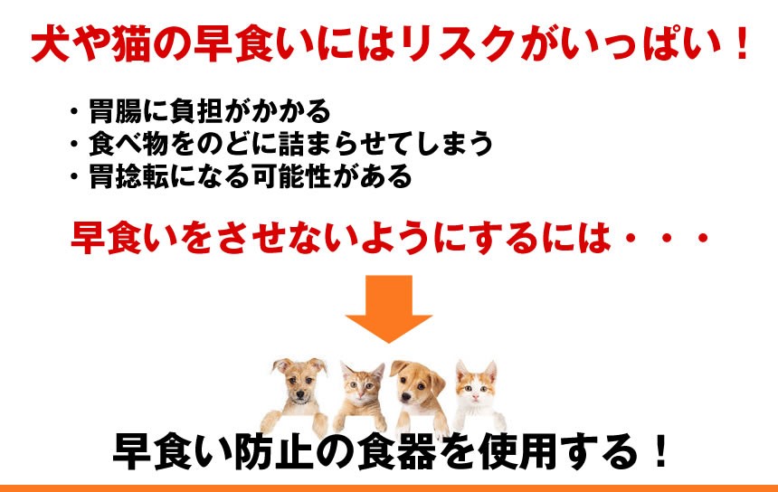 ペット 早食い防止 フードボウル スローフード 丸飲み 防止 食器 犬 ペット用品 猫 スローボール