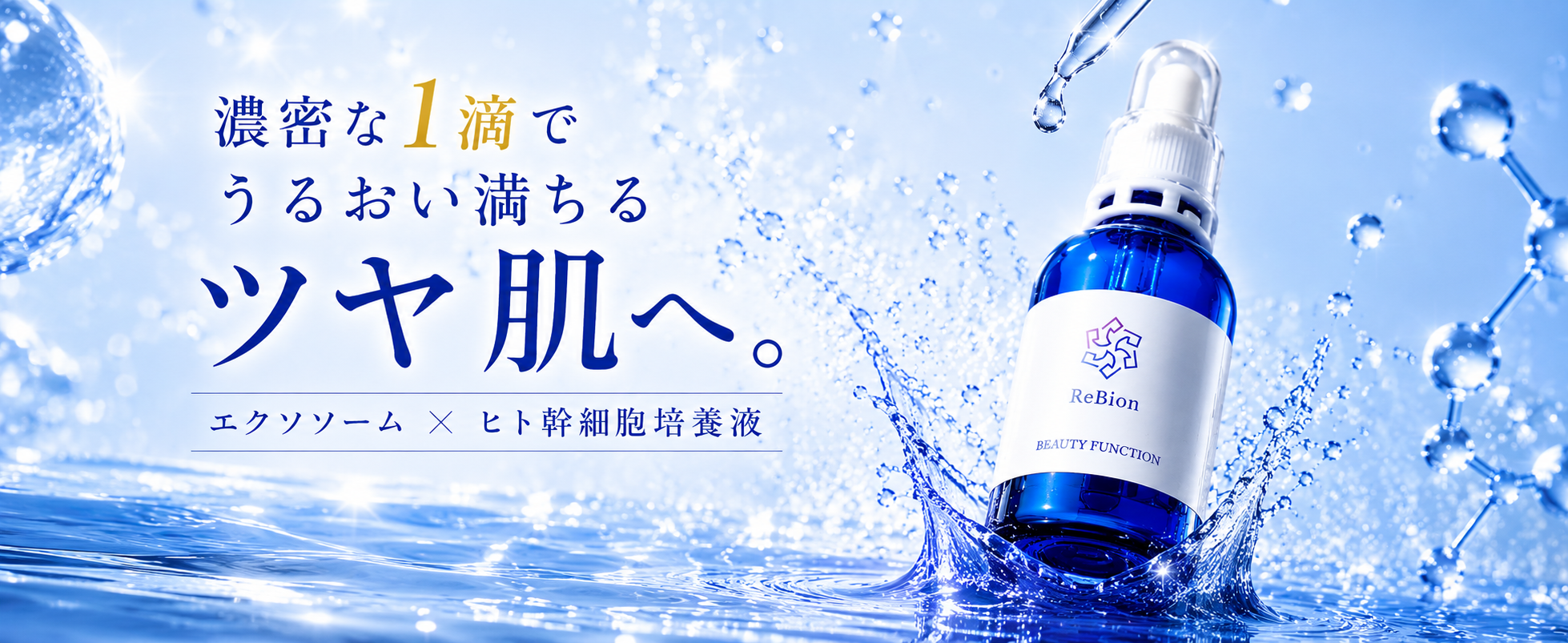 ReBion - Yahoo!ショッピング