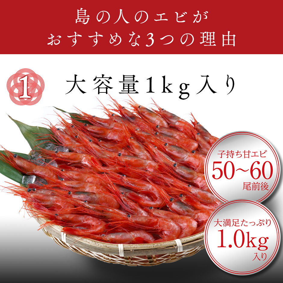 子持ち甘エビ 1.0kg(50-60尾前後) 送料無料 2Lサイズ お取り寄せグルメ 北海道 えび 冷凍 海老 刺身 海鮮 海産物 あまえび  :A00-03143-11130:島の人 - 通販 - Yahoo!ショッピング