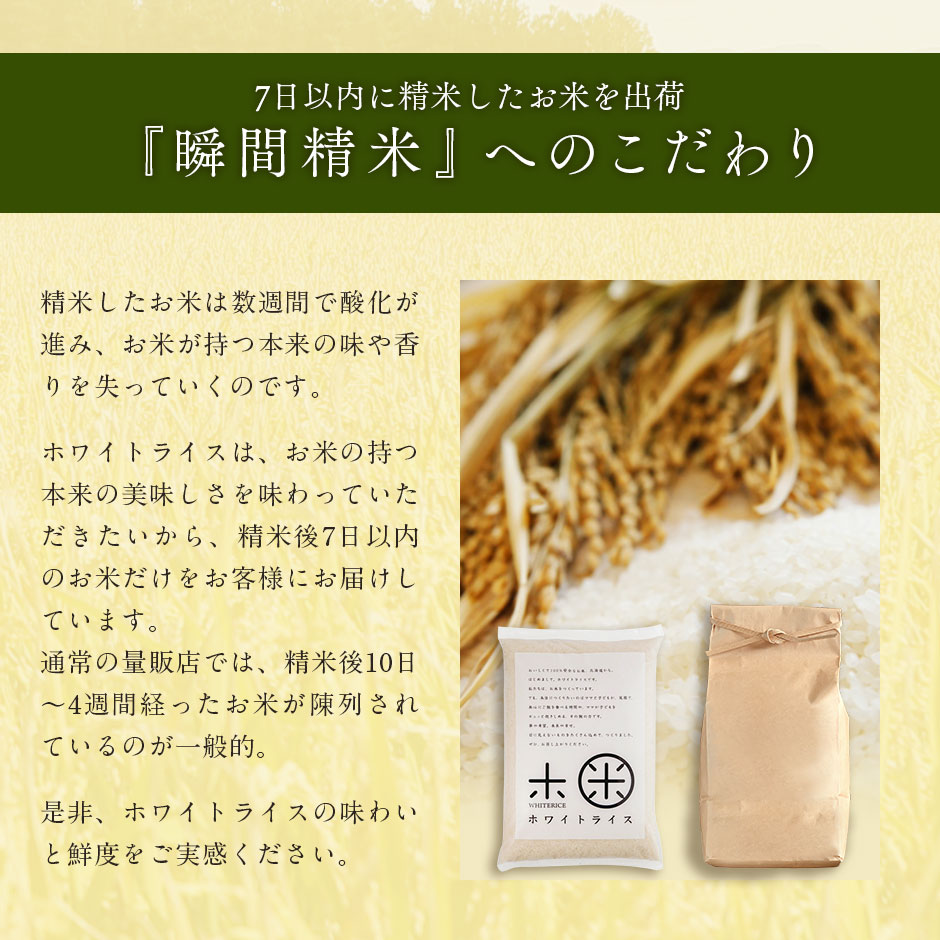 令和5年度米 特A 北海道産 ななつぼし 30kg 送料無料 無洗米 白米 玄米
