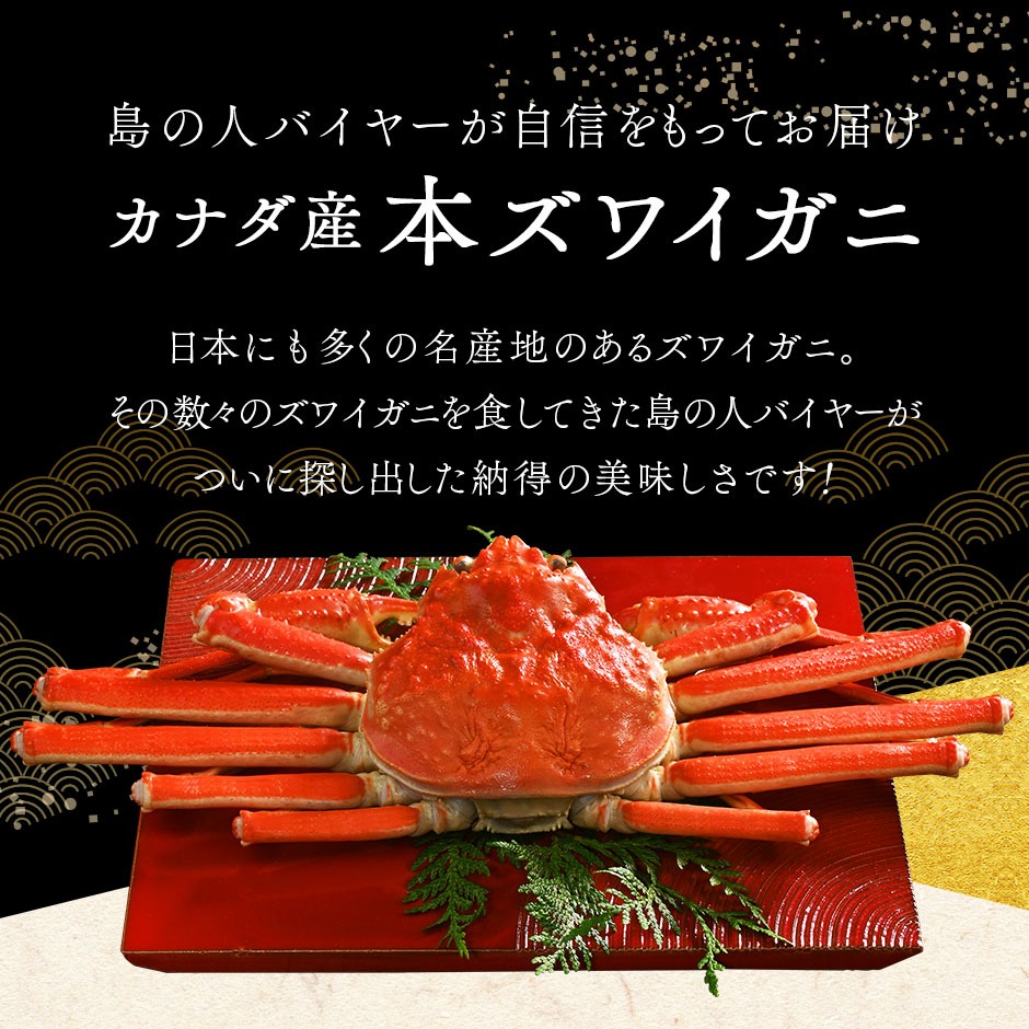 島の人 ギフト カニ かに 蟹 ズワイガニ姿 900g前後 1尾 冷凍 ずわい