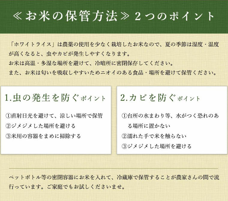 令和5年度米 特A 北海道産 ななつぼし 20kg 送料無料 無洗米 白米 玄米