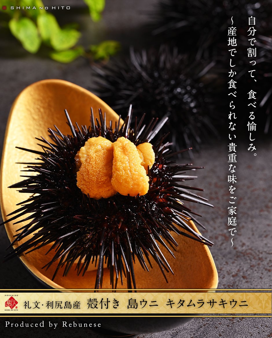 ご予約受付中 殻付きウニ 礼文 利尻島産 殻付き 島ウニ キタムラサキウニ 1 0kg 6 10個 送料無料 A00 島の人 礼文島の四季 北海道ギフト 通販 Yahoo ショッピング