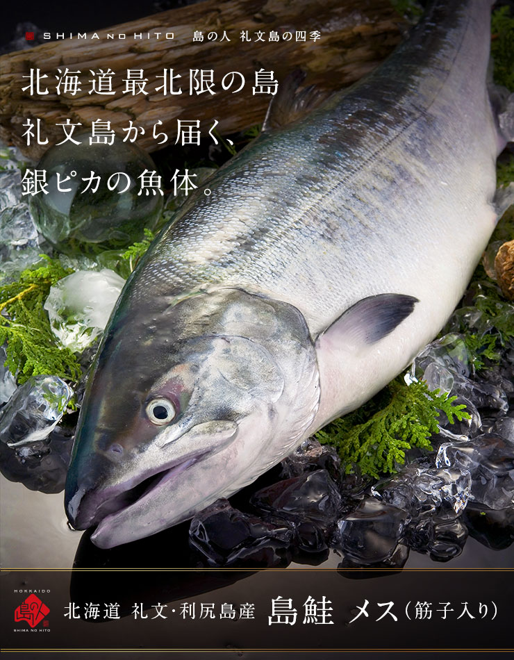 北海道 礼文・利尻島産 生 秋鮭 メス (生筋子入り) 2.5〜3.0kg前後 獲れたての秋鮭を一本丸々お届け！  :A00-08021-11121:島の人 - 通販 - Yahoo!ショッピング