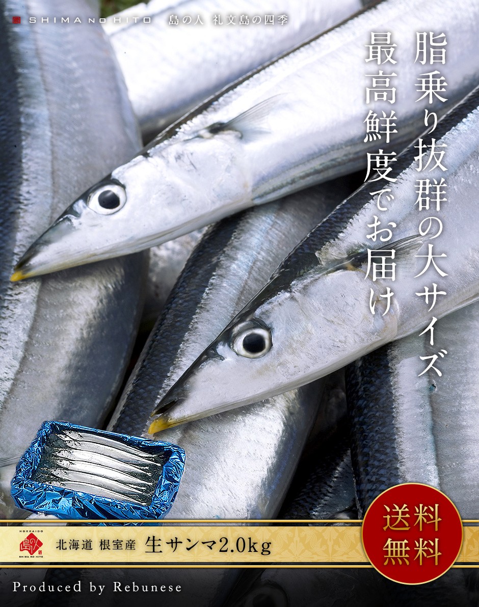 北海道産 生サンマ さんま ギガランキングｊｐ