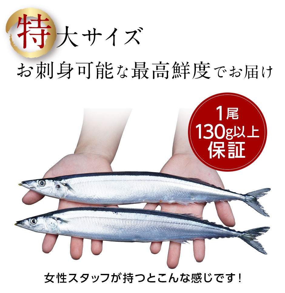 サンマ さんま 秋刀魚 北海道 生 冷蔵 特大 送料無料 鮮サンマ 2kg 約13尾 根室 刺身okの最高鮮度 A00 島の人 礼文島の四季 北海道ギフト 通販 Yahoo ショッピング