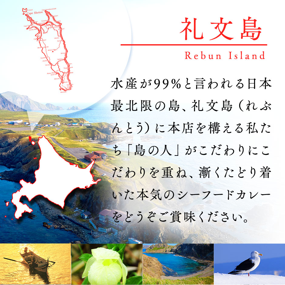 公式 海産物専門店が本気で開発 北海道 シーフードカレー たっぷり11食分 送料無料 お取り寄せグルメ カレー ご飯のお供  www.monseletjardin.ca