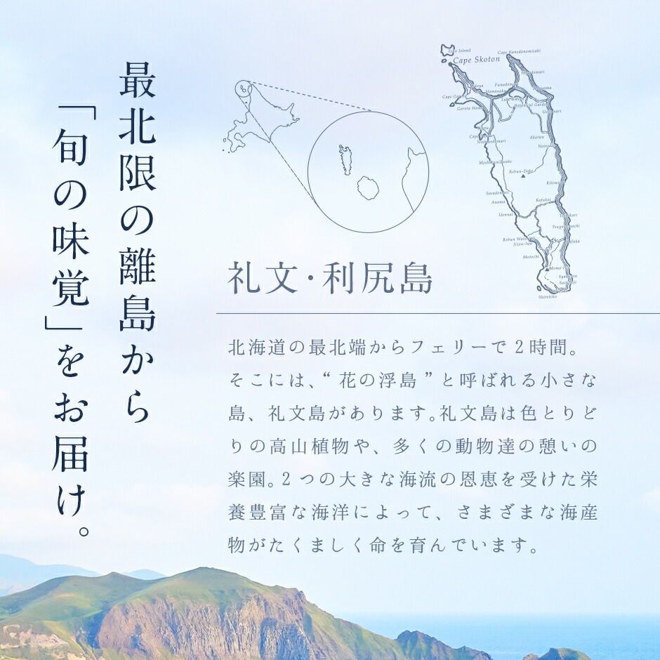 あわび 鮑 礼文 利尻島産 天然 凍結アワビ L-LLサイズ 3個 貝 お