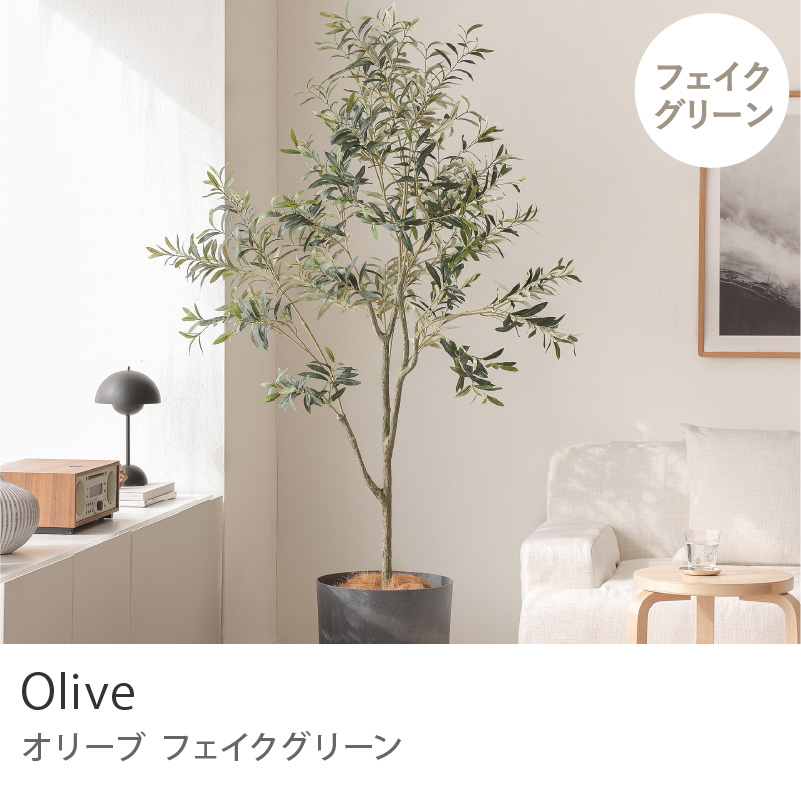フェイクグリーン オリーブ 高さ180cm 人工観葉植物 人工植物 グリーン