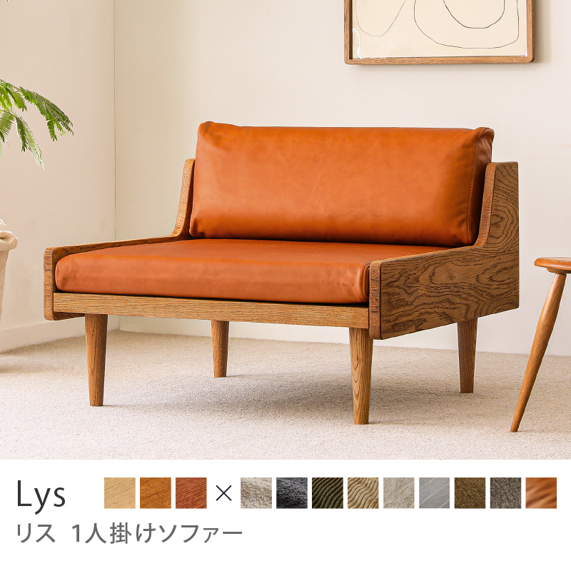 lys1-t9.jpg