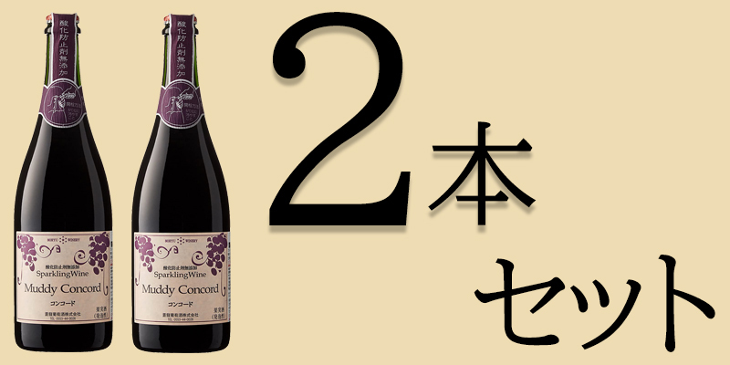 ワイン テイスティングアロマ マスターキット 54種セット 日本語版