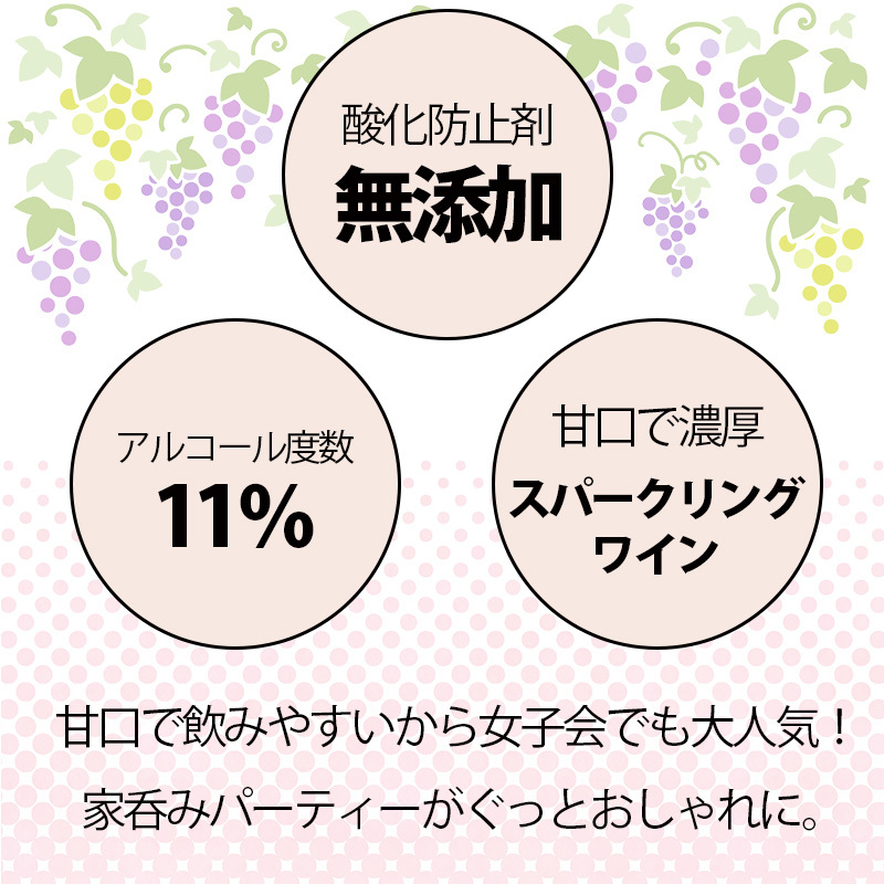 ワイン 蒼龍葡萄酒 マディルージュ コンコード NV 6本セット 酸化防止剤無添加 日本 山梨 スパークリングワイン 750ml ランブルスコのような  :604004x6:ワインとギフトのリコルティ - 通販 - Yahoo!ショッピング