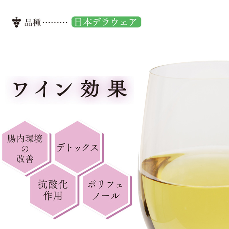 はちみつ日本くまワイン 赤白ギフトボックスセット 500mlx2