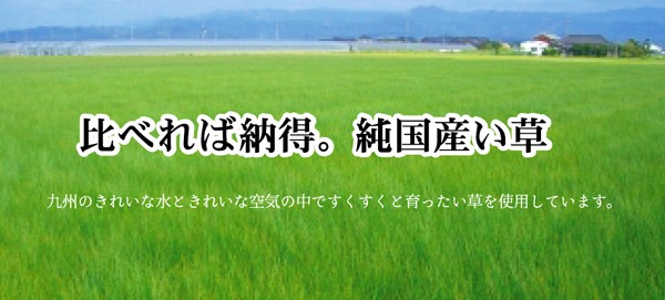 安い格安 純国産 織込千鳥 い草座布団 『フブキ 5枚組』 ブラウン 55×55cm×5P リコメン堂 - 通販 - PayPayモール 爆買い好評