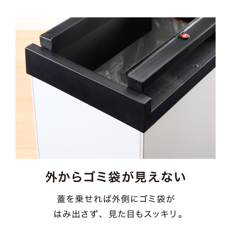 Hailo ハイロ ゴミ箱 ごみ箱 ダストボックス ニュービッグ Hailo ハイロ ゴミ箱 ごみ箱 ダストボックス ニュービッグ