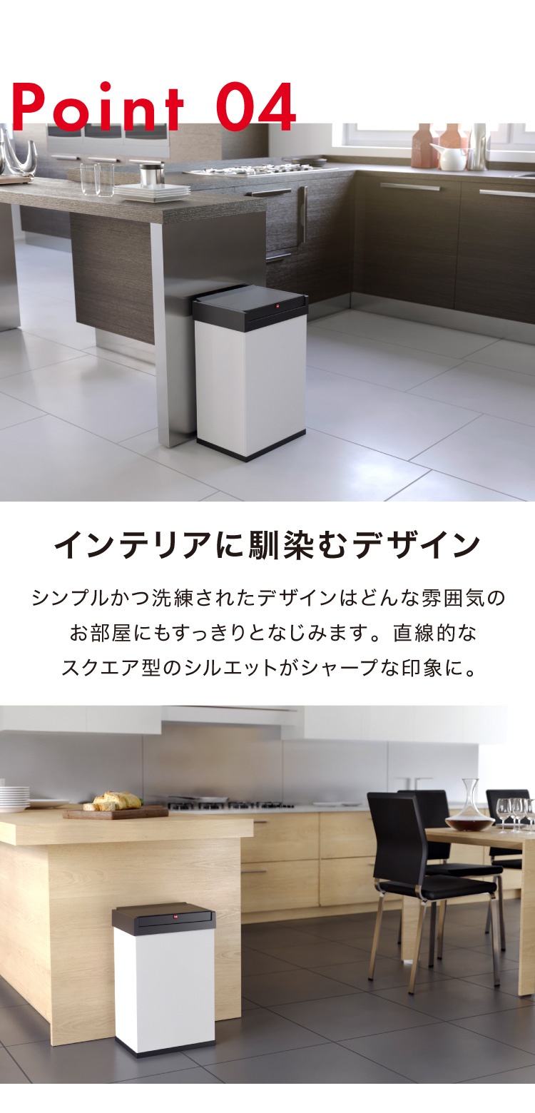 Hailo ハイロ ゴミ箱 ごみ箱 ダストボックス ニュービッグ