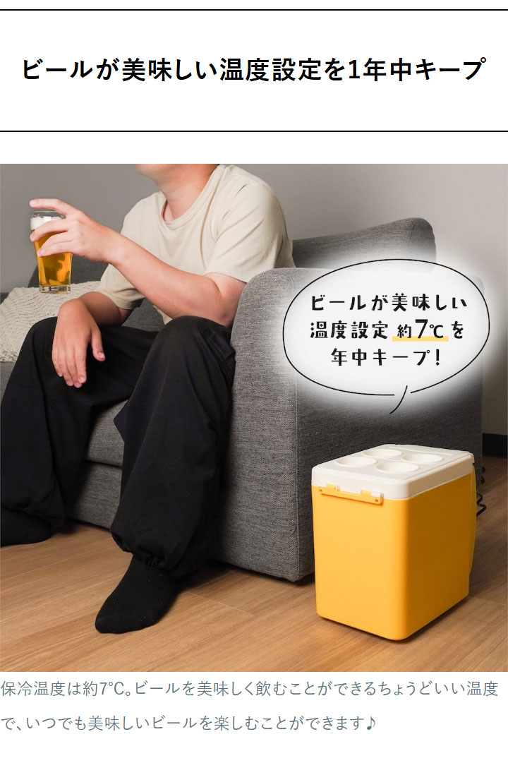 冷蔵庫 ミニ冷蔵庫 ビール専用 ビールクーラー コンパクト 小型 家飲み