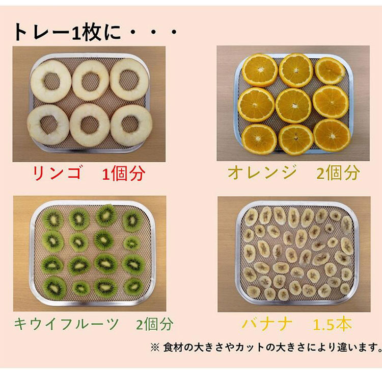 プチマレンギ mini 東明テック 家庭用食品乾燥機 ホワイト TTM-270WH