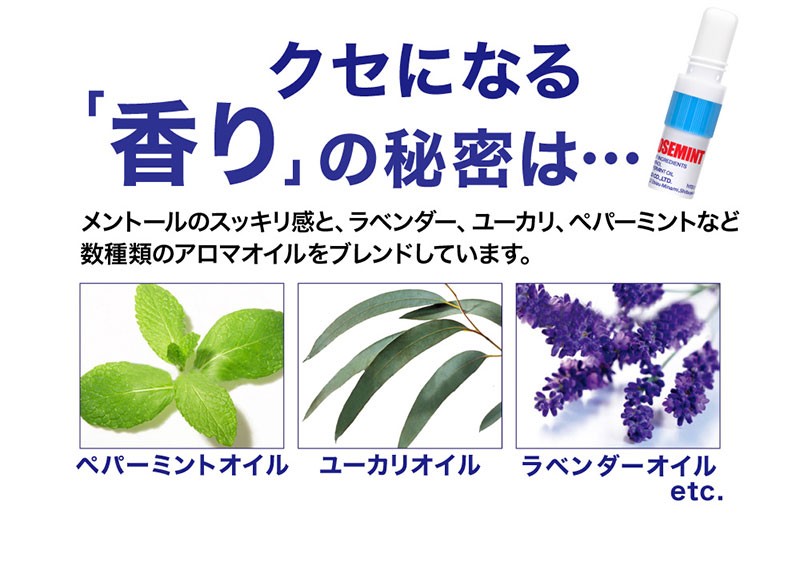 訳あり 箱破損特価 ノーズミント NOSEMINT 10個セット 爽快