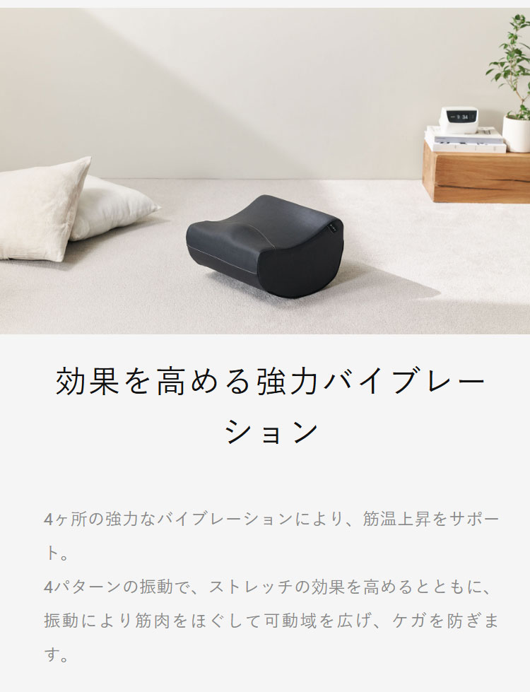 AiMY フレックスウェーブ プロ ストレッチ ケア ケガ防止 筋膜リリース