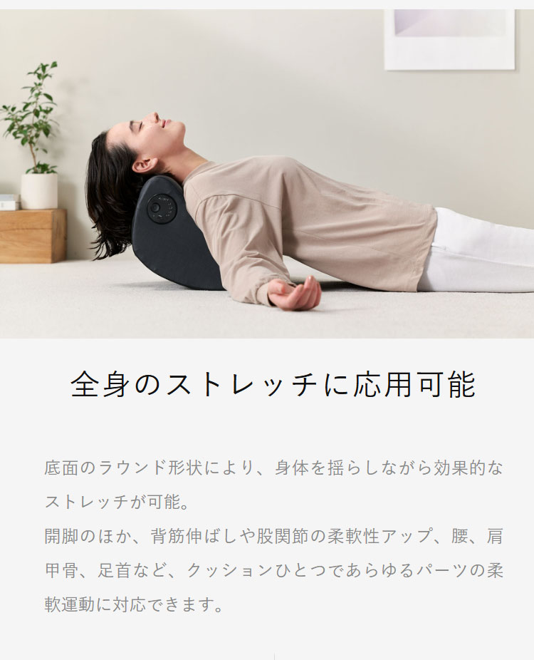 AiMY フレックスウェーブ プロ ストレッチ ケア ケガ防止 筋膜リリース