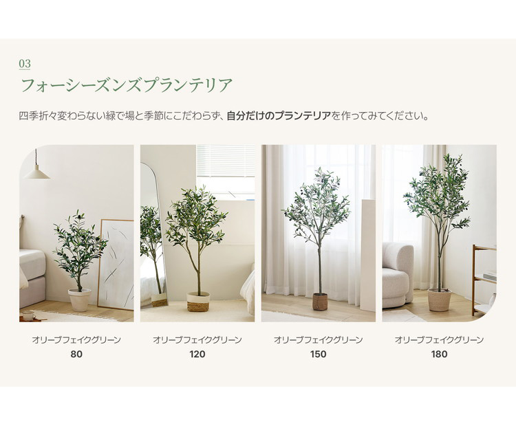 7g-8804371574878-005.jpg