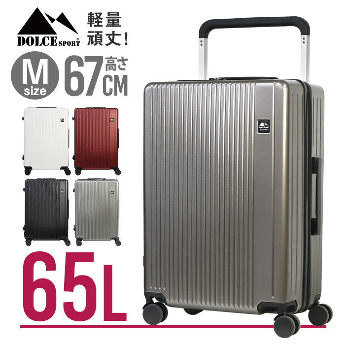 スーツケース Mサイズ 65L ポリカーボネート TSAロック キャリーケース キャリーバッグ トラベル 旅行バッグ 海外 代引不可