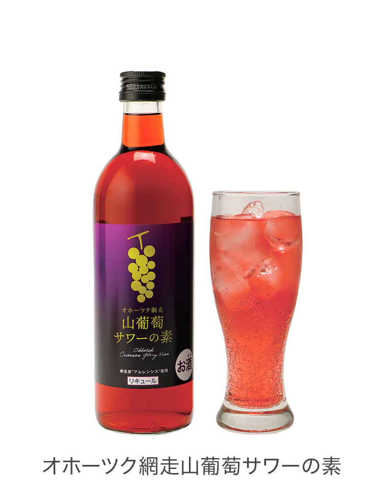 リキュール8本とシロップ4本のセット サワーの素 4本 詰合せセット ギフトセット 500ml リキュール サワー