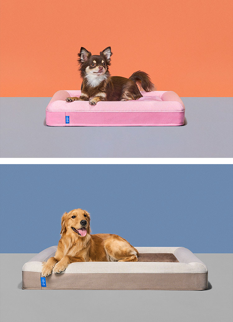 ペットベッド 犬 ベッド 小型犬 老犬 成犬 子犬 パピー シニア 洗える ペットソファ 2way 高反発 ウレタン ドギーベット 高級 イヌ  犬用ベッド 代引不可