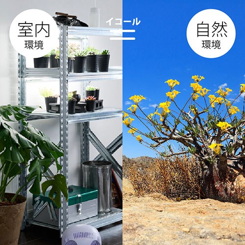 トライテラス 植物育成ライト プラントテラス580 長さ58cm 太陽光に